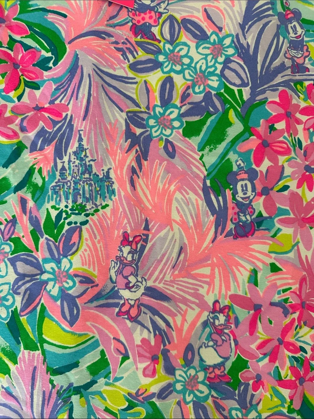 NWT, Lilly Pulitzer + Disney Sophiletta Dress in Disney Dreamin, Size L